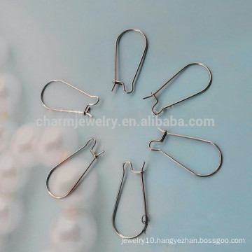 BXG014 316 Stainless Steel Earring Hooks Jewelry Findings & Components